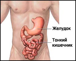 Британским врачам будут доплачивать за толстых пациентов пациент