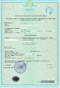 Как грамотно оформить права собственности на недвижимость в БТИ материал