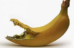 Легкие продукты, которые нельзя есть, сидя на диете факт