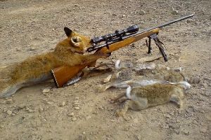 Медики, рыбаки и охотники в Украине зарабатывают меньше всех более