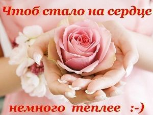 Семь правил, чтобы выиграть войну с микробами в офисе микроб
