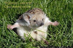 Шева подписал наконец-то новый контракт игра
