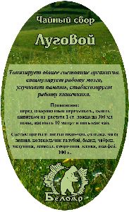 Тесты на память улучшают работу мозга слово