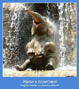 В досрочных выборах примет участие до 75% украинцев Стретович