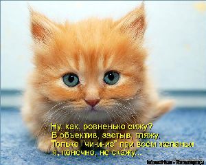 За июнь более 43 тыс. украинцев нашли работу год